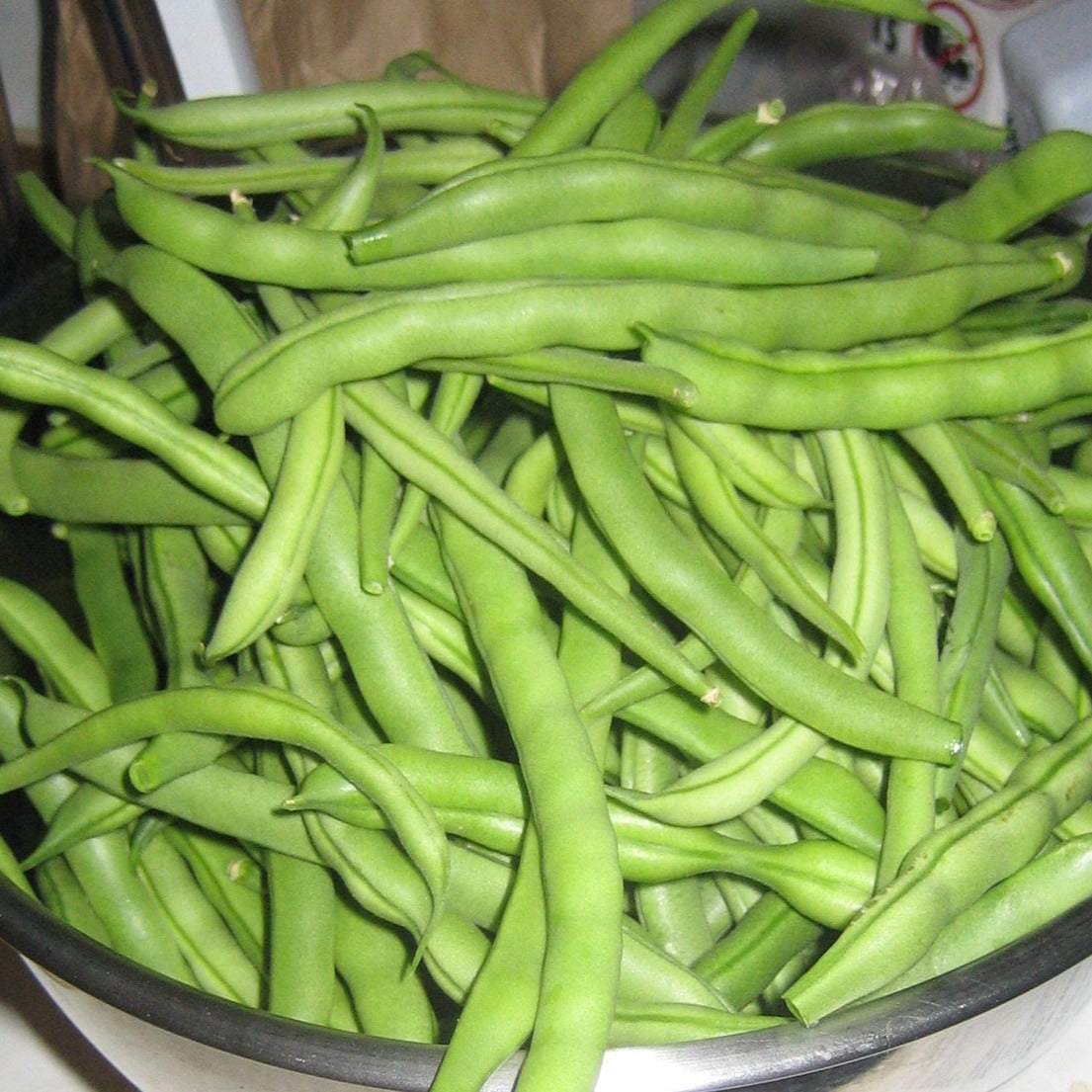Bowl of stringless Kentucky Wonder green pole beans.
