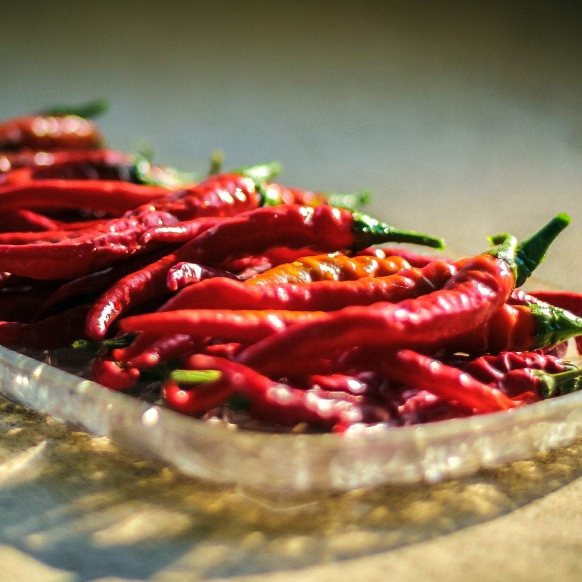 Hot Long Red Cayenne Pepper NT in a tray, showcasing vibrant color and slender shape.