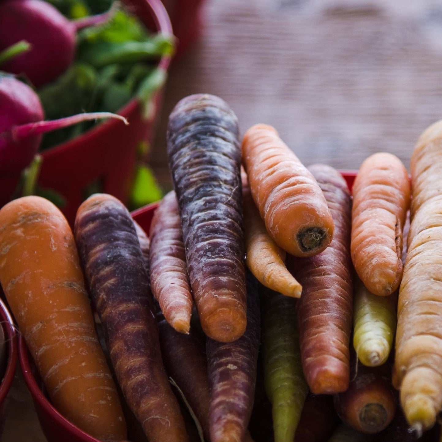 Colorful carrots in a Small Garden Bundle.