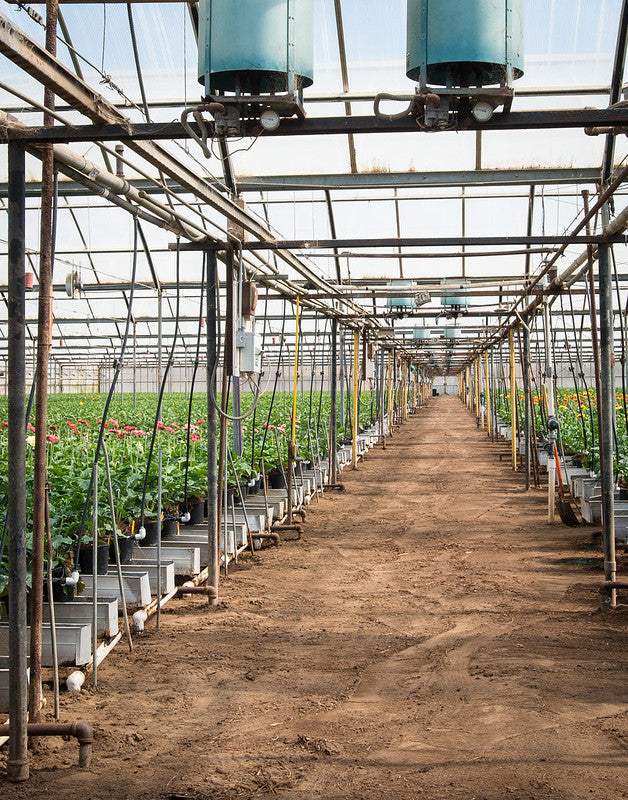 Greenhouse interior with plants and equipment, illustrating greenhouse and garden center consulting services.