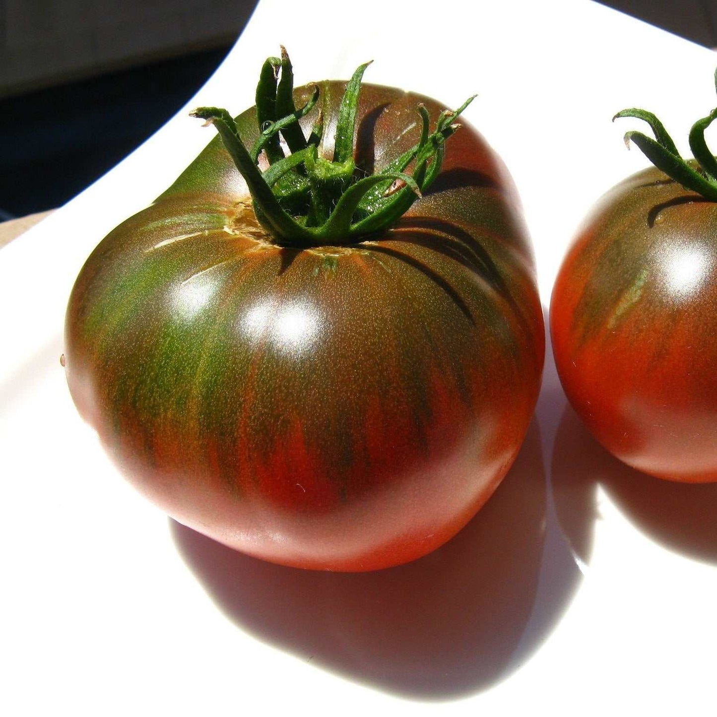 Heirloom Tomato Cherokee Purple with deep purple-brown hue.