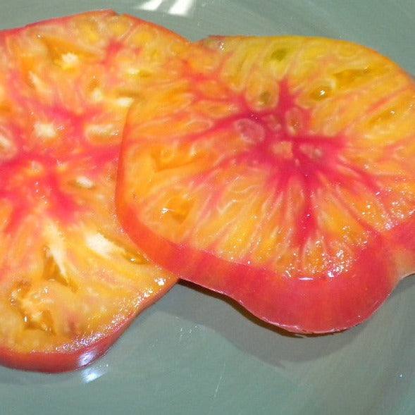Heirloom Tomato Old German, sliced beefsteak variety with golden-yellow and red marbling.