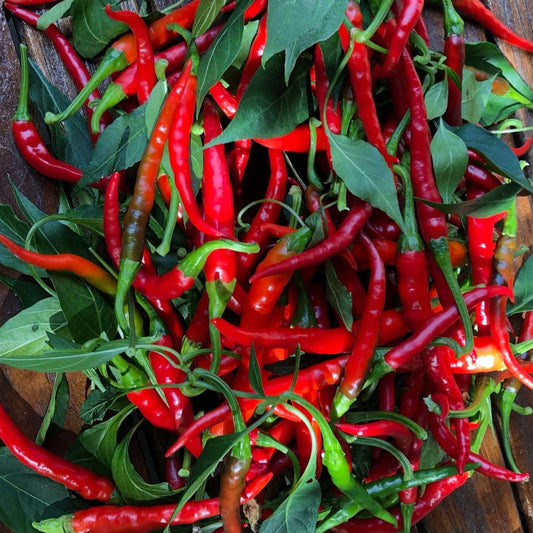 Hot long red cayenne peppers on wooden surface with green leaves.