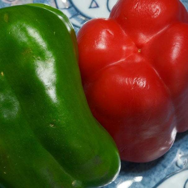 Bell Pepper California Wonder seeds, heirloom variety, non-treated.