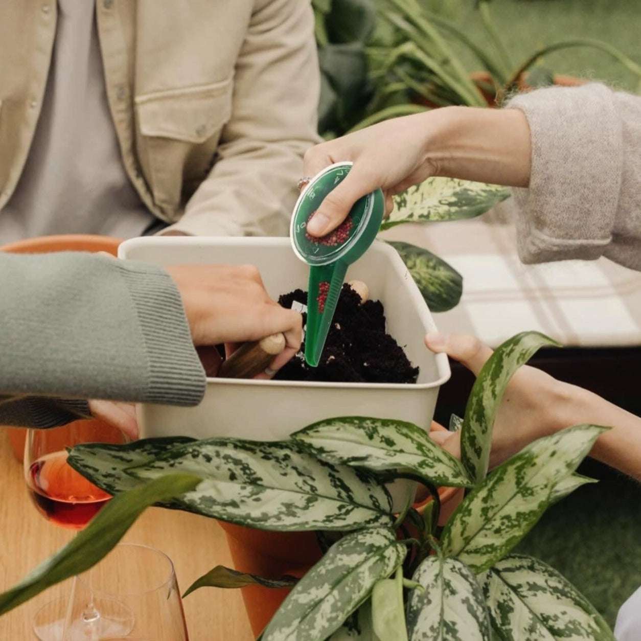 Easy Garden Seeder being used for precise planting in a garden setting.