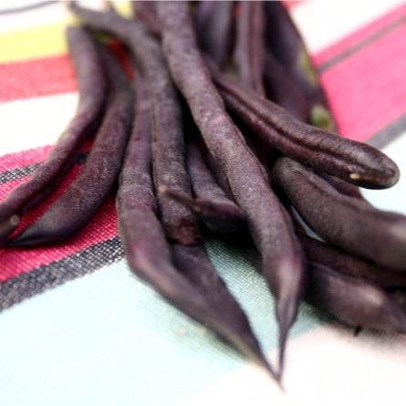Deep purple pods of Beans Purple Queen on a colorful cloth.