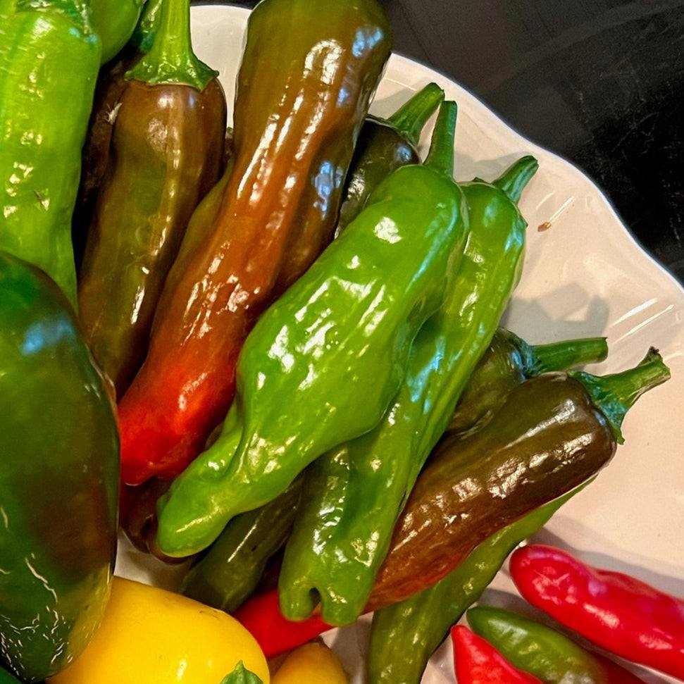 Big Jim Pepper Heirloom in various colors on a white plate, showcasing large, mild peppers ideal for stuffing and grilling.