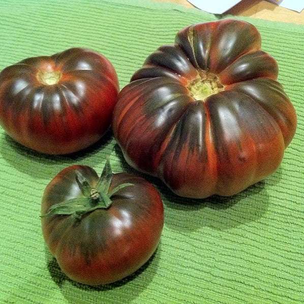 Black Krim heirloom tomato with dusky purple-red color and rich smoky flavor for slicing and fresh eating