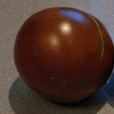 Black Prince Heirloom Tomato with deep reddish-brown skin on a gray surface.
