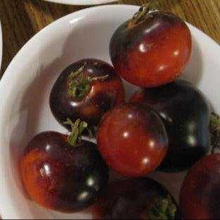 Blueberry Cherry Tomato with deep purple-blue shoulders and red bottoms in a bowl.