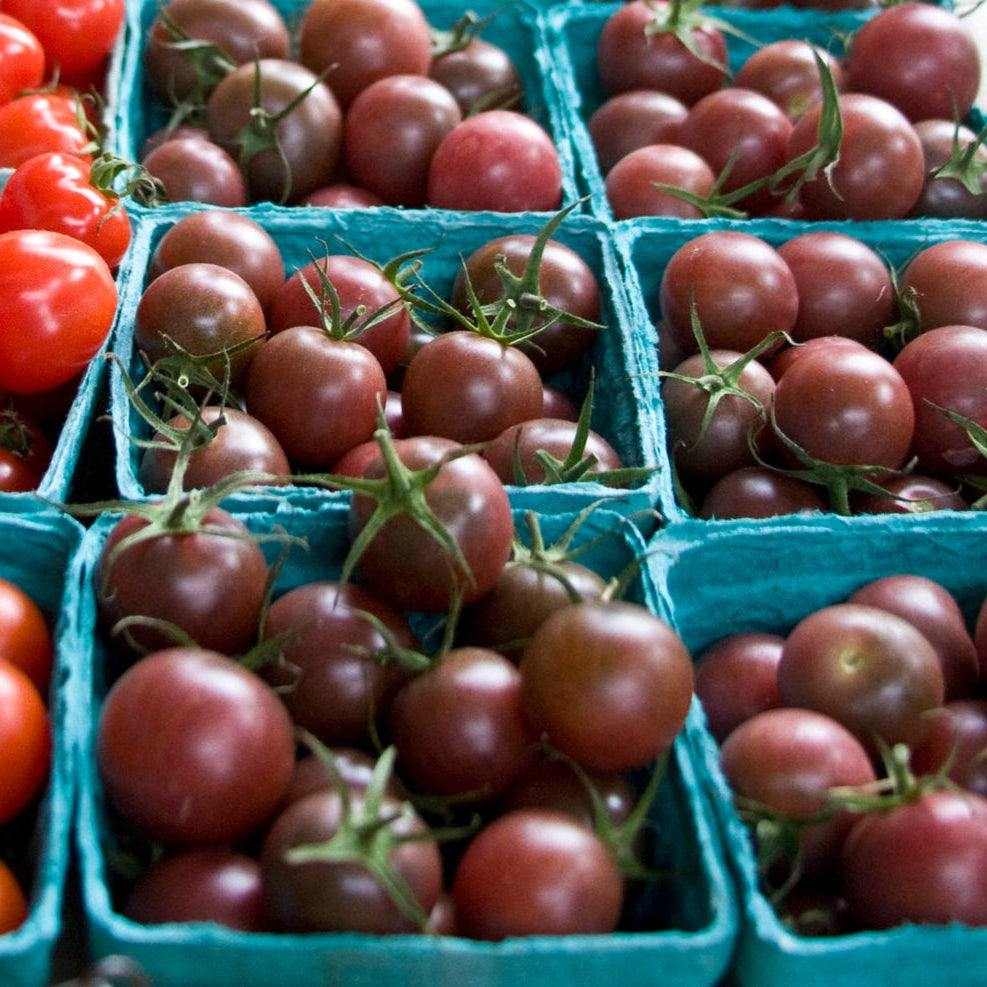Blueberry Cherry Tomato with dark purple-blue shoulders and deep red bottoms in baskets.