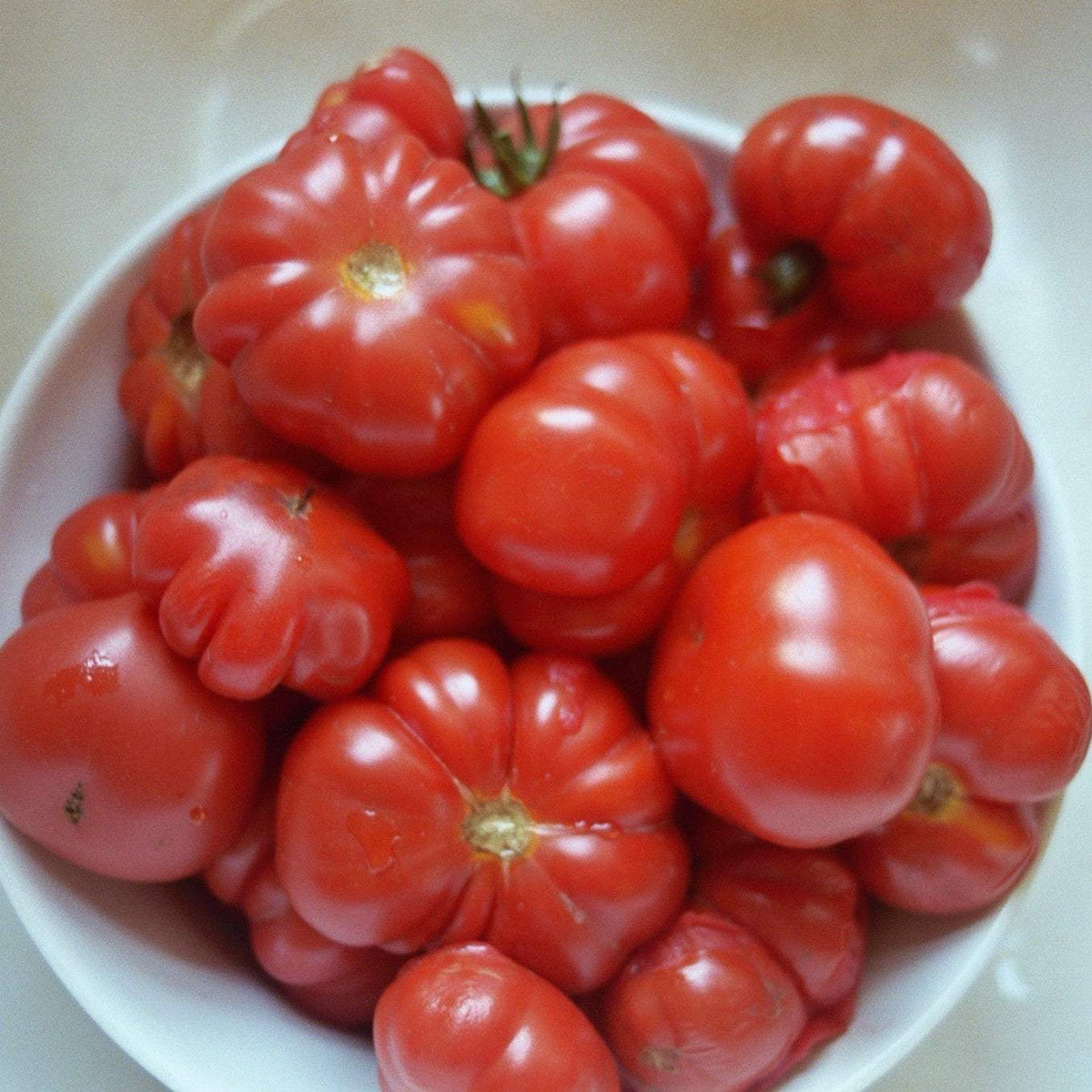 Costoluto Genovese Tomato heirloom variety with deep ridges and scalloped shape, ideal for pasta sauces and fresh slicing