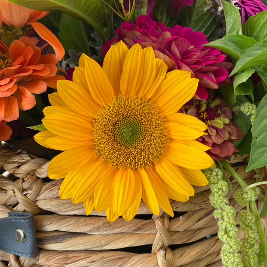 Sunflower Sunrich Gold with vibrant golden petals in a floral arrangement.