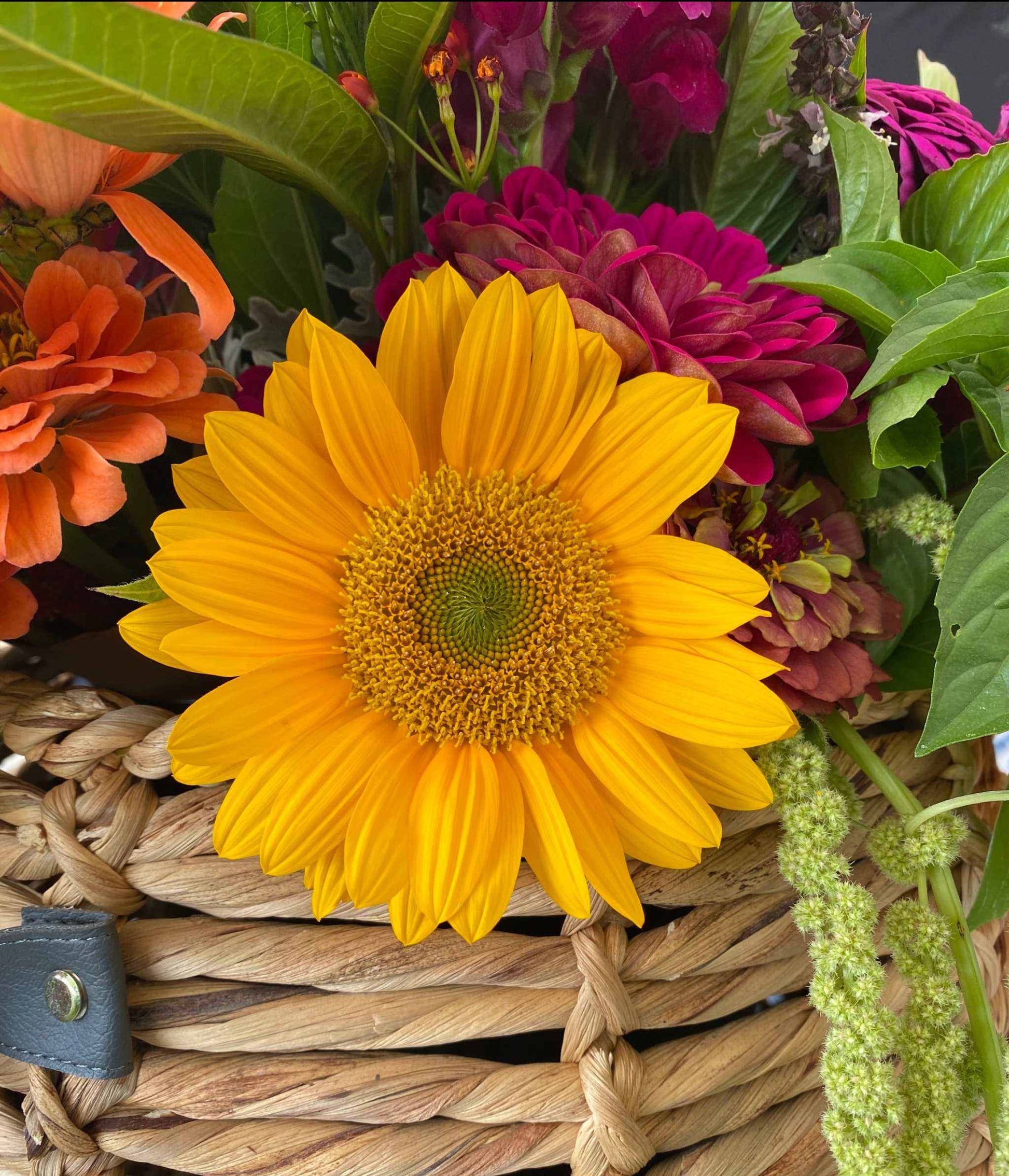 Cut Flower Garden Bundle with sunflowers, zinnias, celosia, and more in a basket.