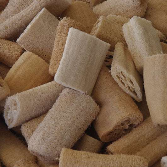 Natural dried loofah sponges, eco-friendly exfoliating luffa gourds.
