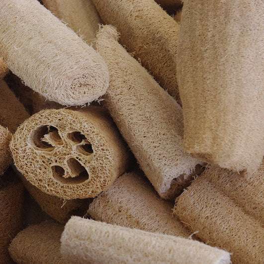 Luffa gourds transformed into natural sponges, showing fibrous texture.
