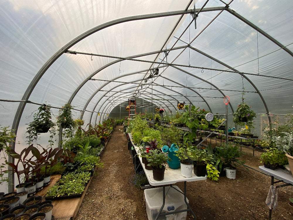 Greenhouse interior with plants and equipment for garden center consultation.