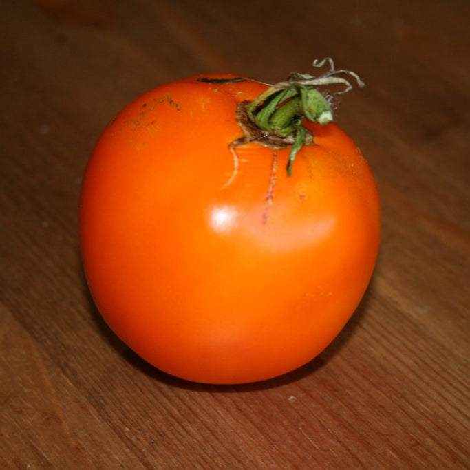 Moonglow Heirloom Tomato with bright orange color on a wooden table.