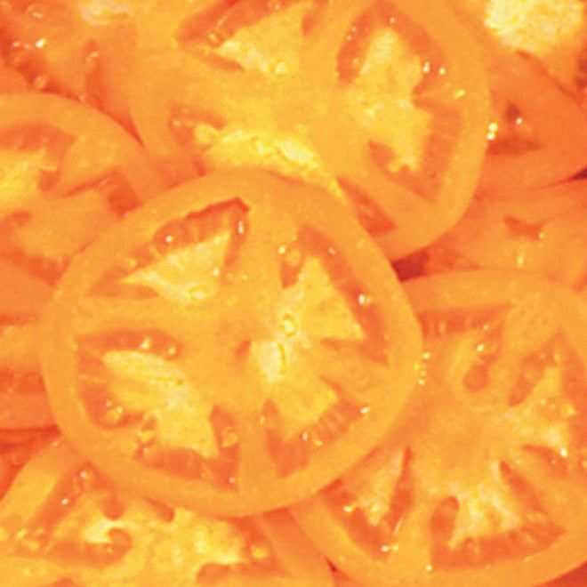 Bright orange Moonglow Heirloom Tomato slices showcasing firm texture and vibrant color.