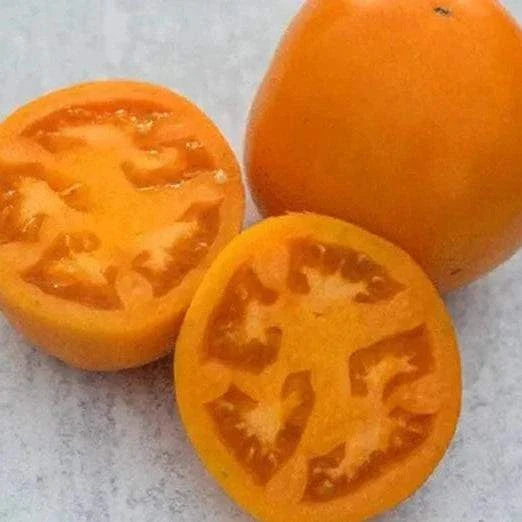 Orange You Glad Heirloom Tomato, yellow-orange, medium to large size, sliced for fresh eating, salsas, sauces.