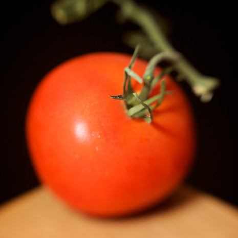 Orange You Glad Heirloom Tomato on a vine, bright yellow-orange, perfect for slicing and fresh eating.