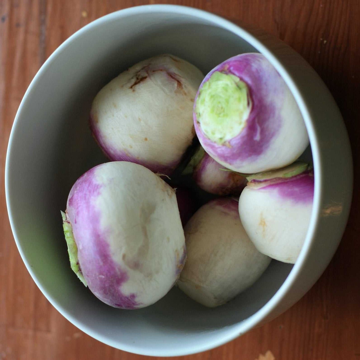 Purple Top White Globe turnips in a bowl, showcasing their vibrant purple tops and white flesh.