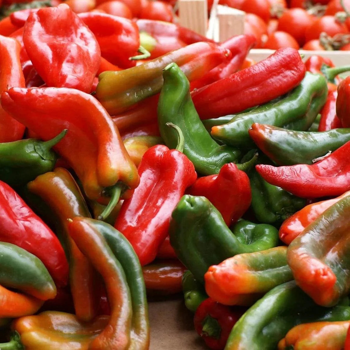 Red Bulls Horn Sweet Italian Heirloom Grilling Peppers in vibrant red and green colors.