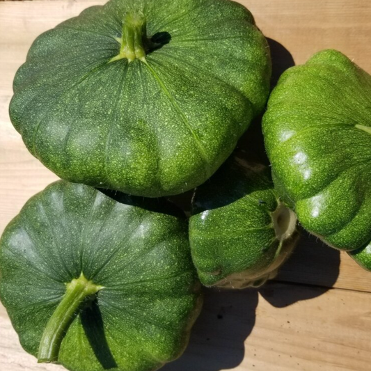 Squash Total Eclipse F1 / Courgette Total Eclipse F1