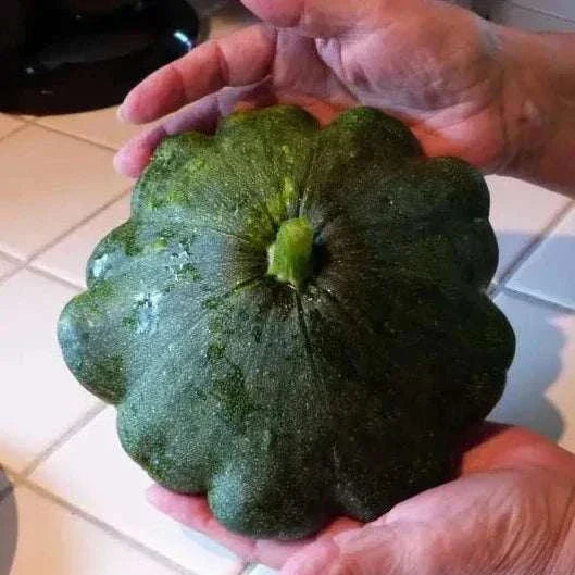 Squash Total Eclipse F1 hybrid with deep green color and white speckles held in hands.