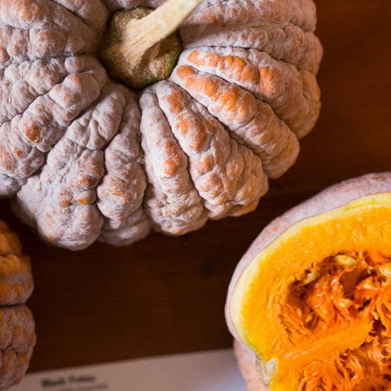 Butternut winter squash 'Black Futsu' with bumpy skin and orange flesh.