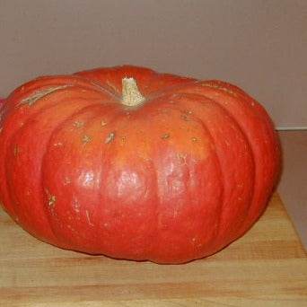 Pumpkin Rouge Vif d’Etampes with orange-red skin and prominent ridges displayed on a wooden surface.