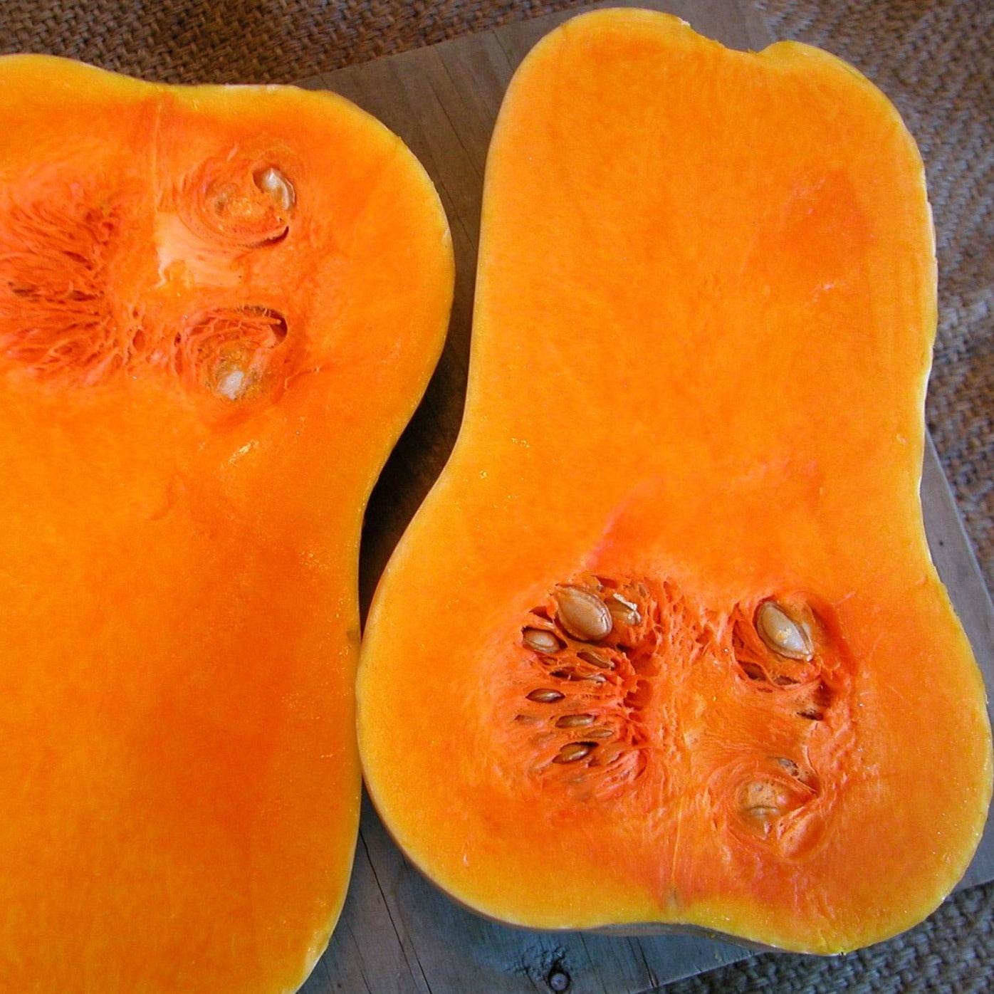 Butternut Waltham NT squash with smooth texture and sweet flavor, high-quality large fruit with small seed cavities.