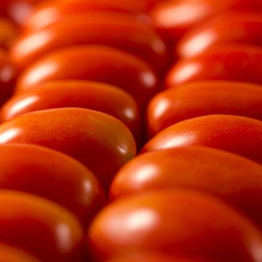 Amish Paste Heirloom Tomato seeds and ripe tomatoes, ideal for canning and salsa recipes.