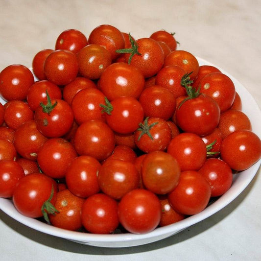 Bright-red cherry tomatoes in a bowl, showcasing the Gardener's Delight variety.
