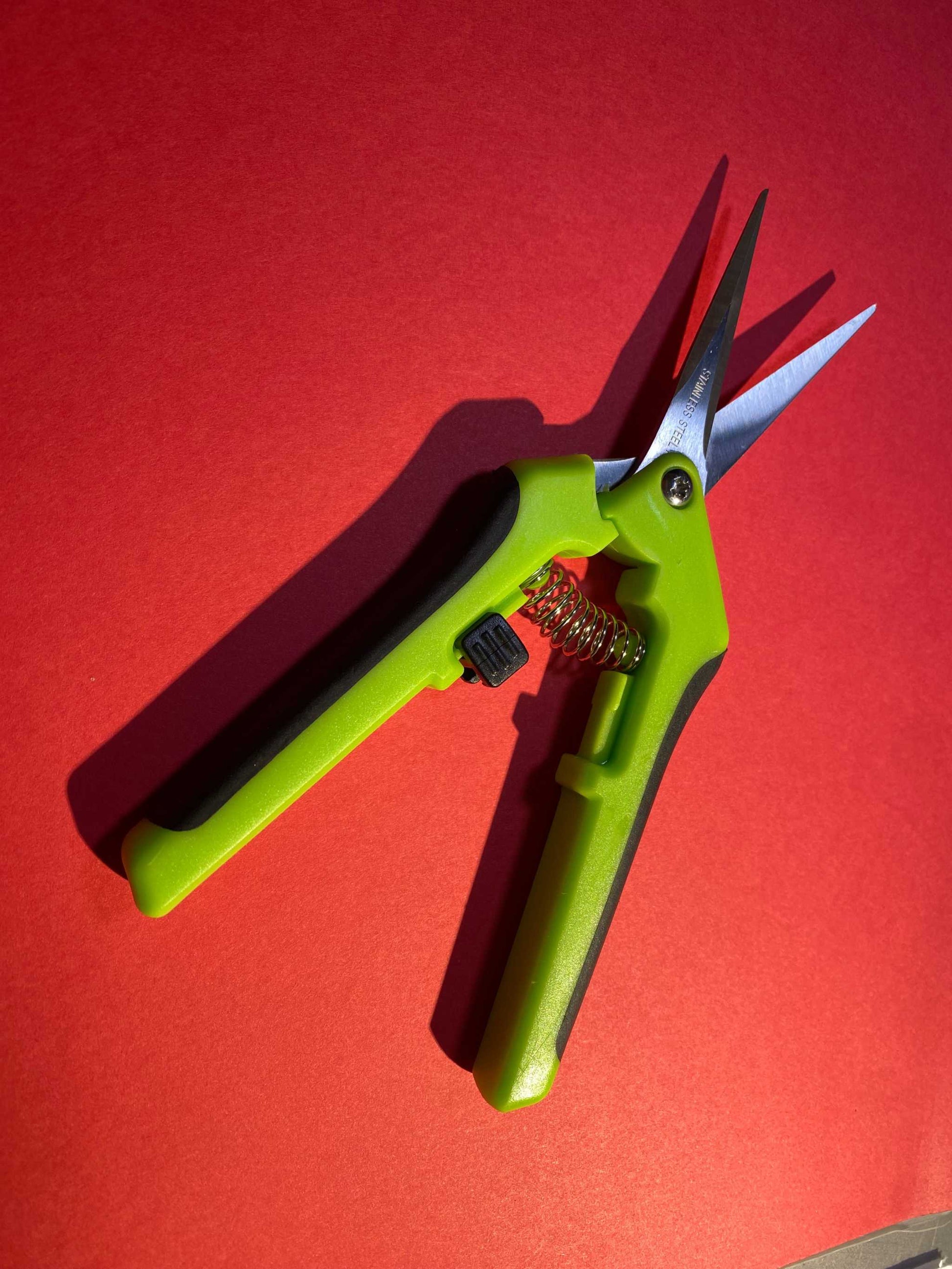 Green Garden Snips on red background for gardening and cooking.