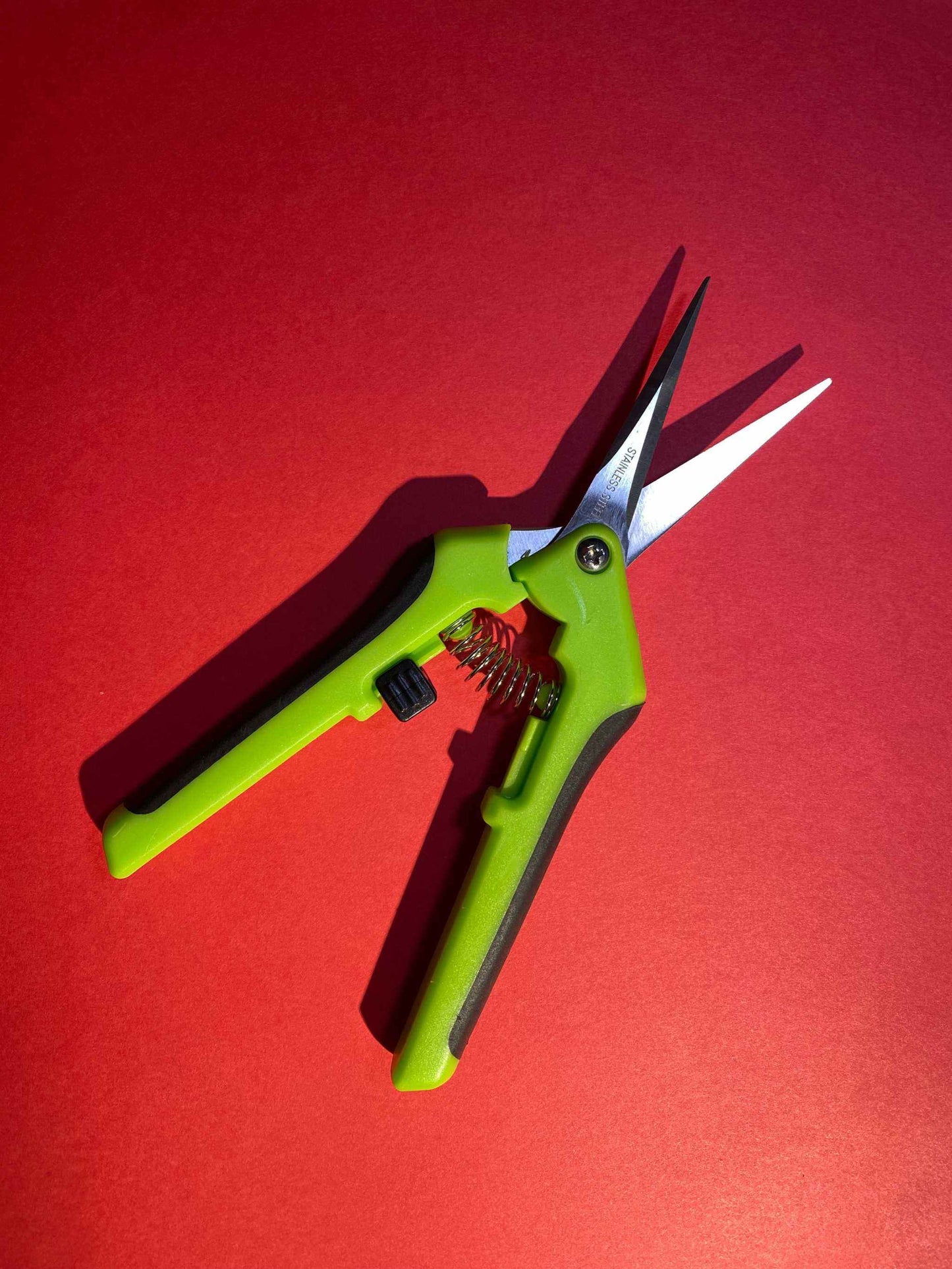 Green garden snips on red background for gardening and kitchen use.