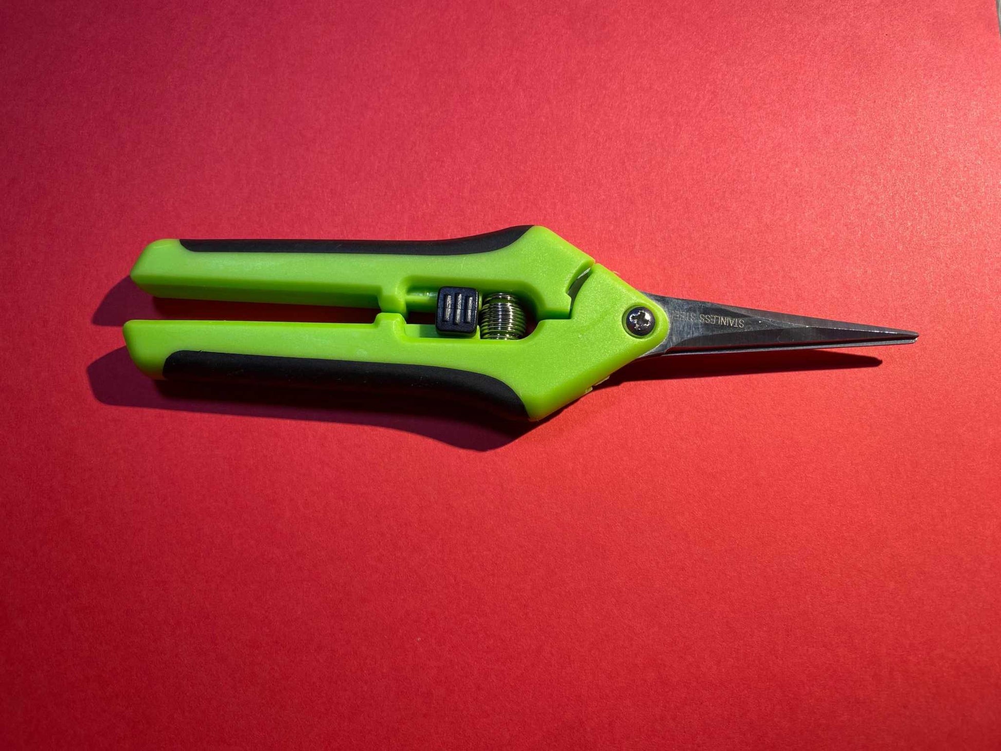 Green Garden Snips on a red background for gardening and cooking.