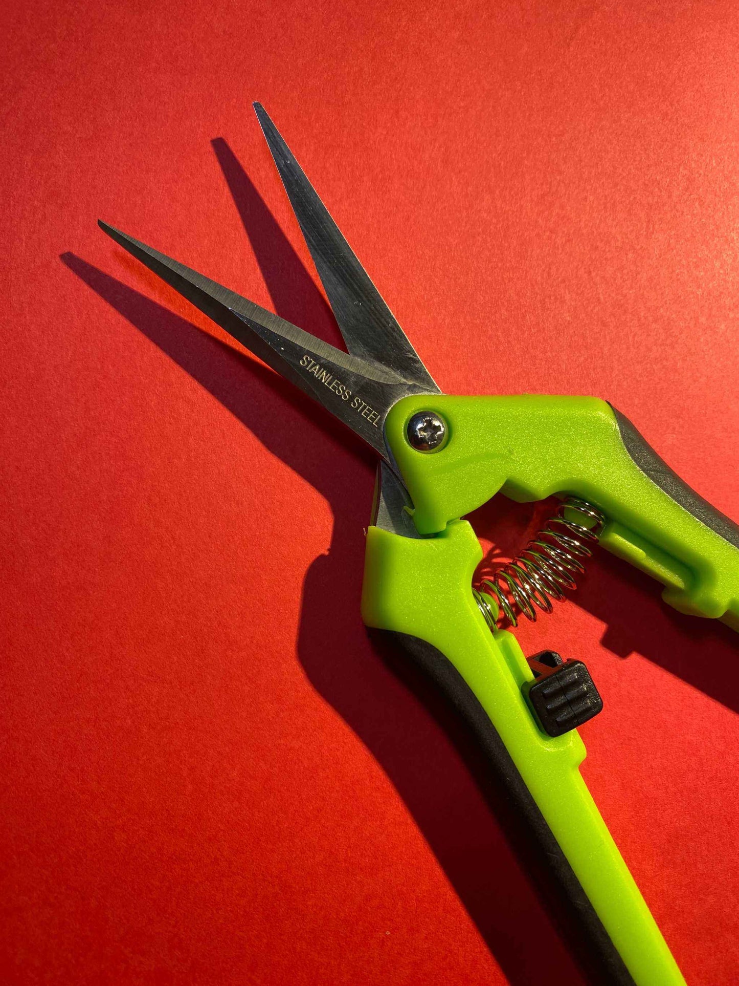 Green garden snips on a red background ideal for gardening and kitchen use.