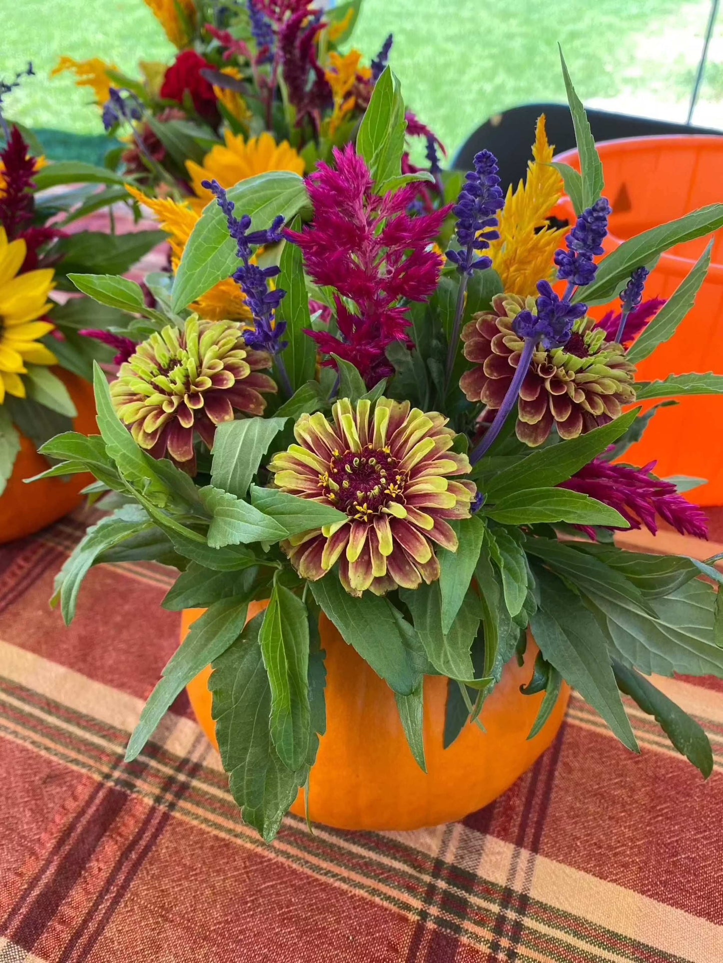 Queeny Red Lime Zinnia bouquet in vibrant autumnal arrangement.
