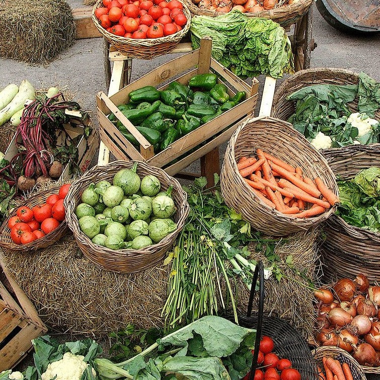 Family Garden Bundle