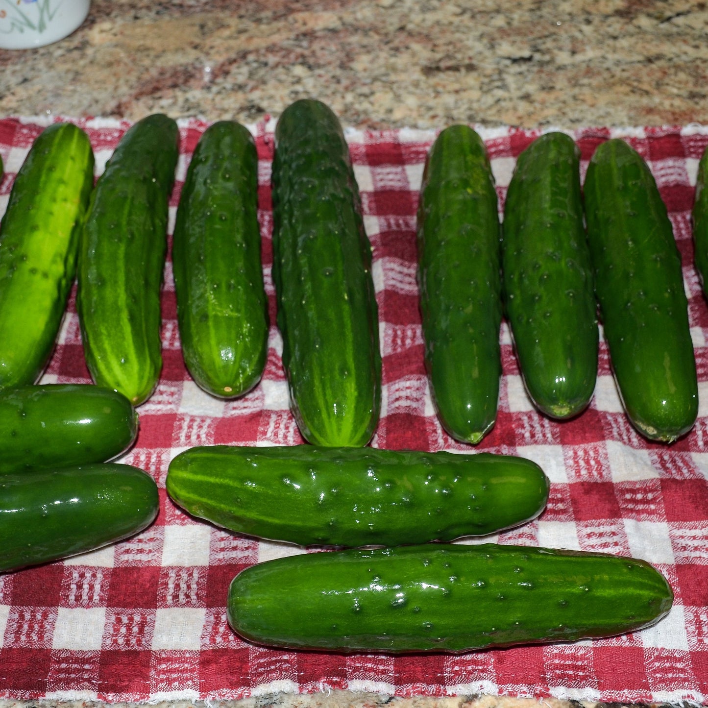 Marketmore 76 Cucumbers on red checkered cloth, showcasing dark green, straight, heirloom variety.