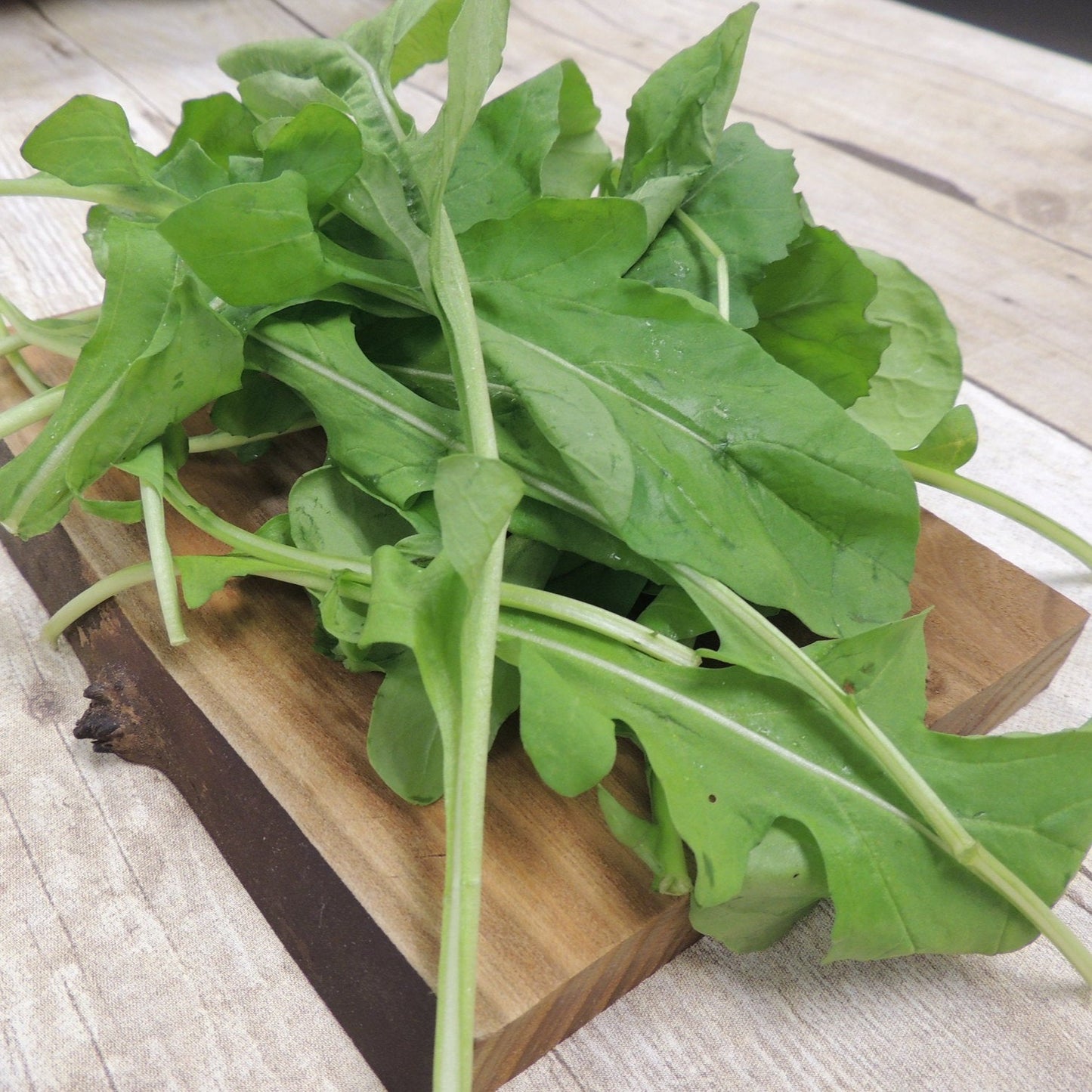 Heirloom non-GMO arugula roquette leaves on wooden board.