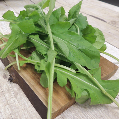 Arugula, Roquette