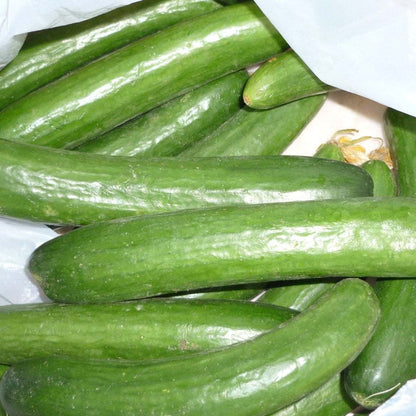 Beit Alpha Burpless Lebanese cucumbers in a pile.