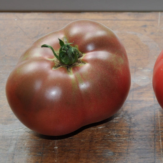 Heirloom Tomato Cherokee Purple Tomate Héritage
