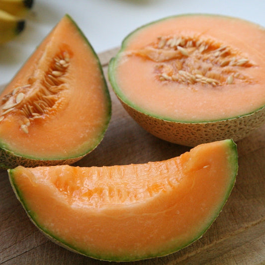 Heirloom NT Cantaloupe Heart of Gold / Héritage NT Melon Brode Heart of Gold