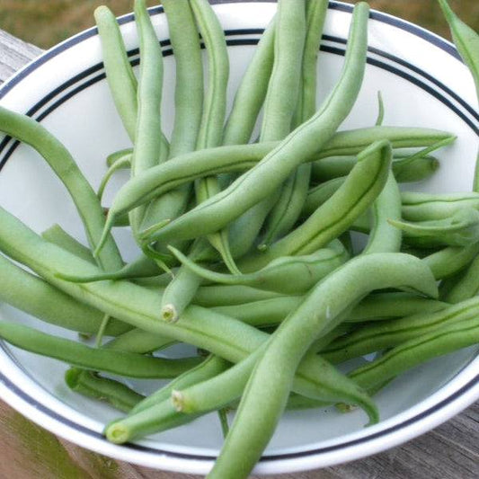 Green beans in a white bowl with blue rim on a wooden surface