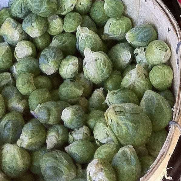 Vegetable display with baskets of Brussels Sprouts Long Island Improved Heirloom MatchesSeeds Matches Seeds