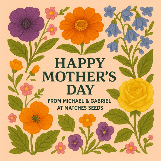 Mother's Day Bundle with colorful blooms and floral design.