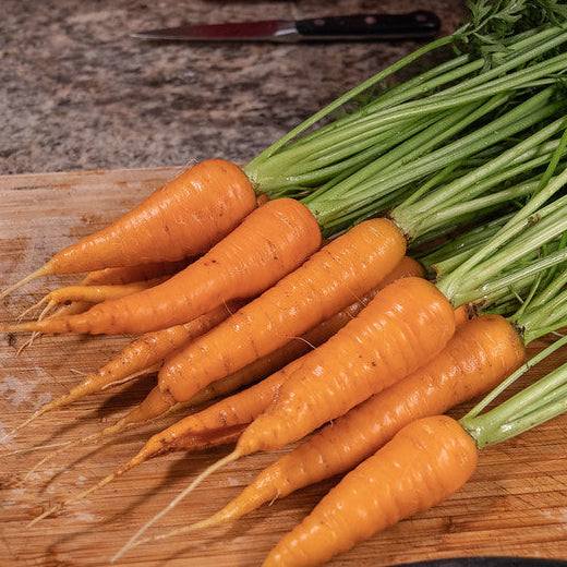 Bunch of carrots on a wooden cutting board with a knife in the background Danvers Half - Long Carrot Matches Seeds